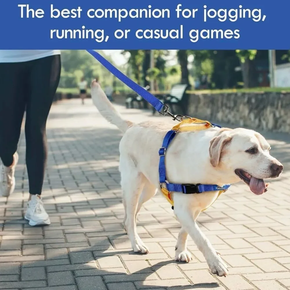 Mearrcgo No Pull Dog Harness with Dog Leash, Easy to Control Walking Harness L